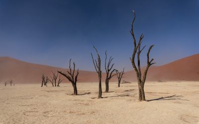 El cementerio del desierto
